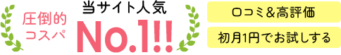 当サイト人気No.1!